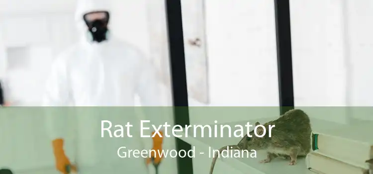 Rat Exterminator Greenwood - Indiana