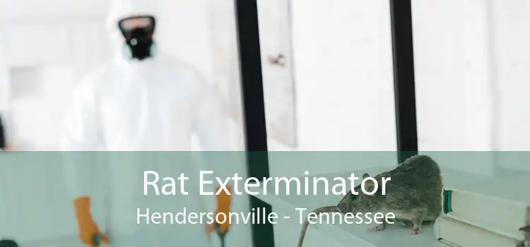 Rat Exterminator Hendersonville - Tennessee