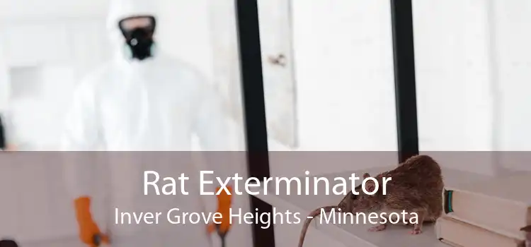 Rat Exterminator Inver Grove Heights - Minnesota