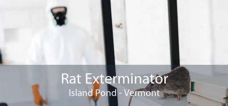 Rat Exterminator Island Pond - Vermont