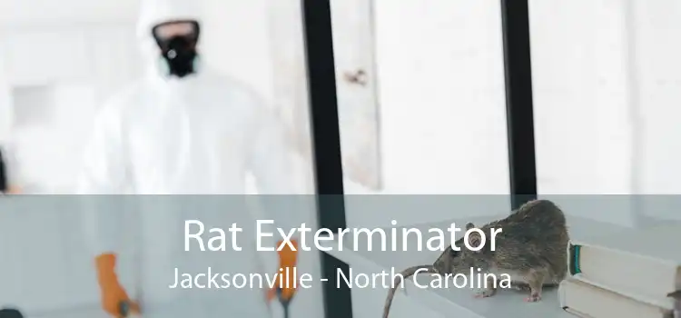 Rat Exterminator Jacksonville - North Carolina