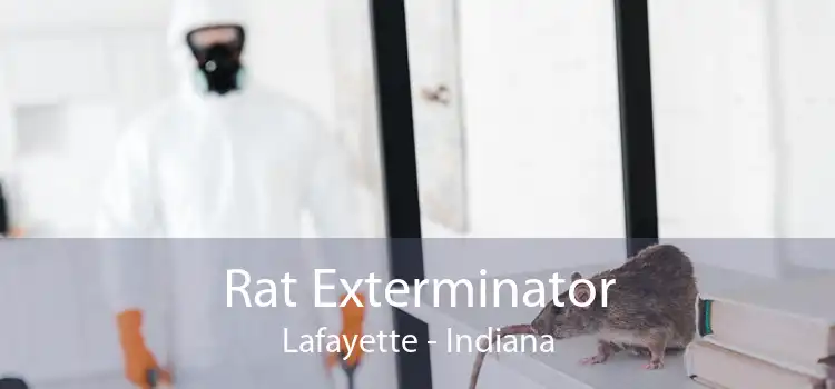 Rat Exterminator Lafayette - Indiana