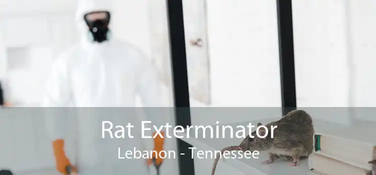 Rat Exterminator Lebanon - Tennessee