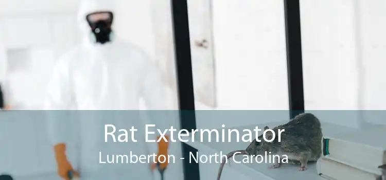 Rat Exterminator Lumberton - North Carolina