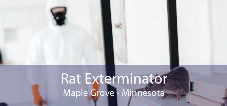 Rat Exterminator Maple Grove - Minnesota