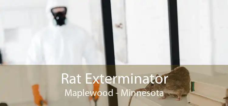 Rat Exterminator Maplewood - Minnesota