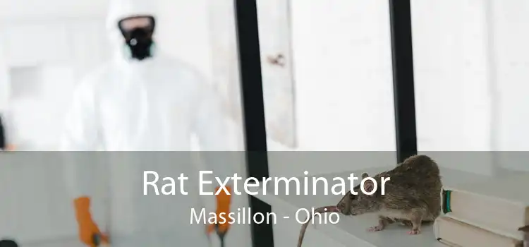 Rat Exterminator Massillon - Ohio