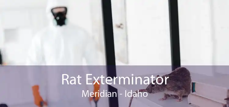 Rat Exterminator Meridian - Idaho