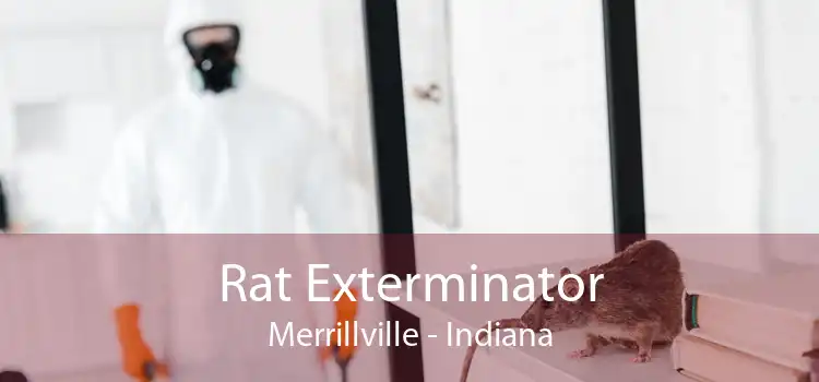Rat Exterminator Merrillville - Indiana