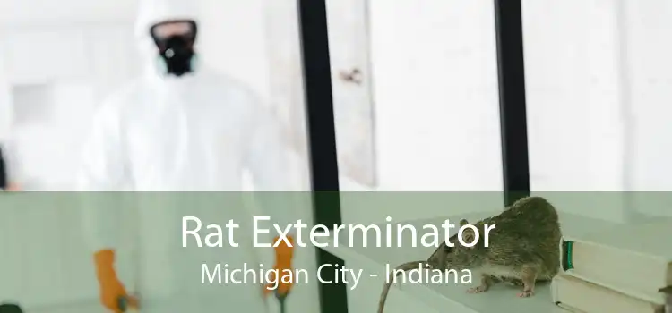Rat Exterminator Michigan City - Indiana