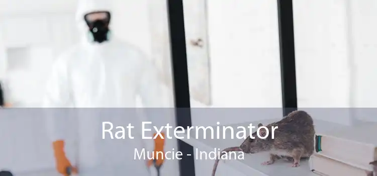 Rat Exterminator Muncie - Indiana