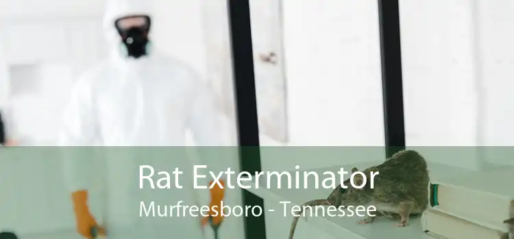 Rat Exterminator Murfreesboro - Tennessee