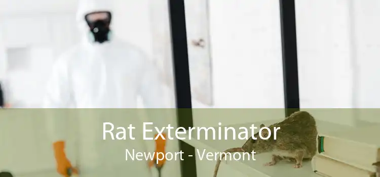 Rat Exterminator Newport - Vermont