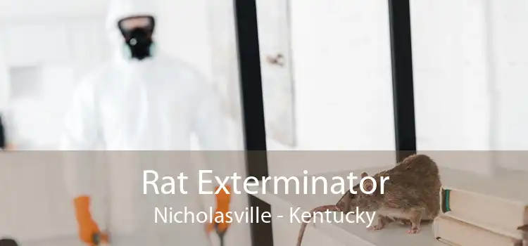 Rat Exterminator Nicholasville - Kentucky