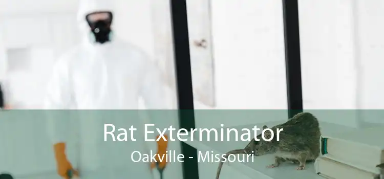 Rat Exterminator Oakville - Missouri