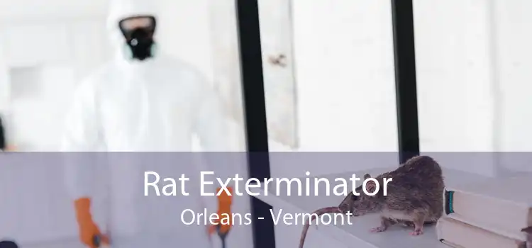 Rat Exterminator Orleans - Vermont