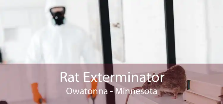 Rat Exterminator Owatonna - Minnesota