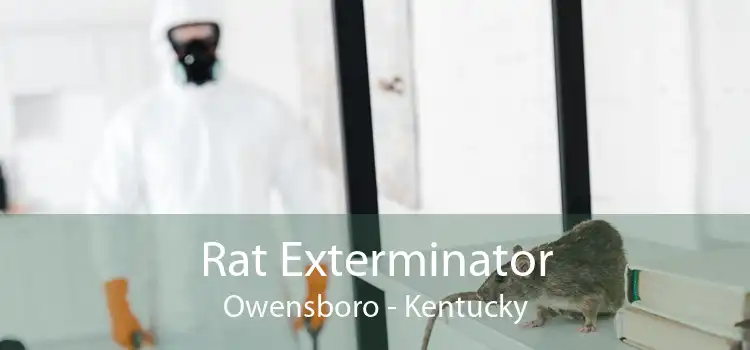 Rat Exterminator Owensboro - Kentucky