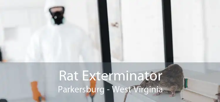 Rat Exterminator Parkersburg - West Virginia