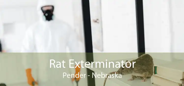 Rat Exterminator Pender - Nebraska