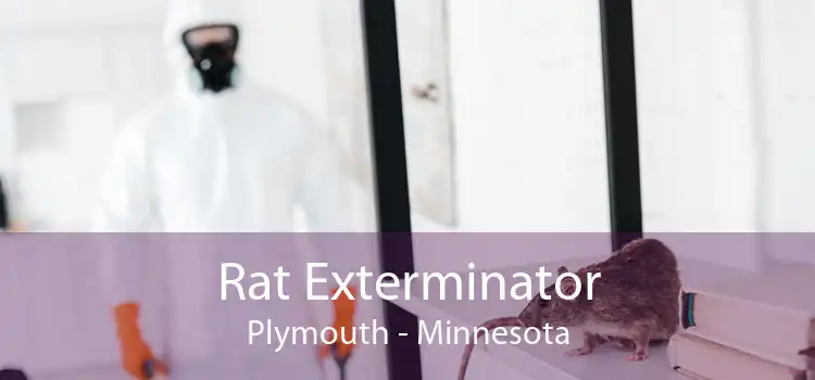 Rat Exterminator Plymouth - Minnesota