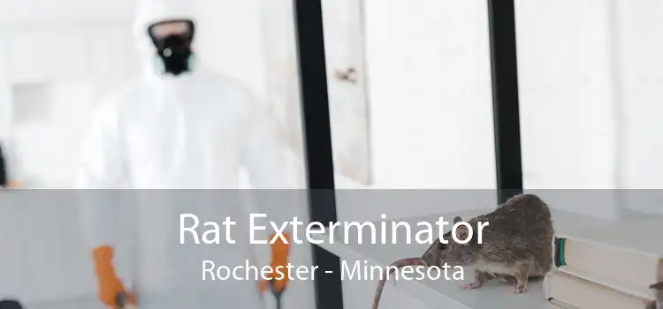 Rat Exterminator Rochester - Minnesota