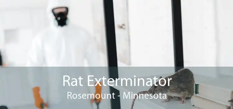 Rat Exterminator Rosemount - Minnesota