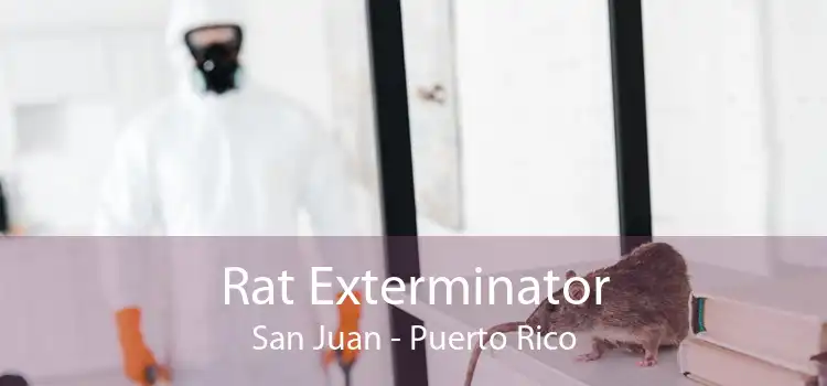 Rat Exterminator San Juan - Puerto Rico