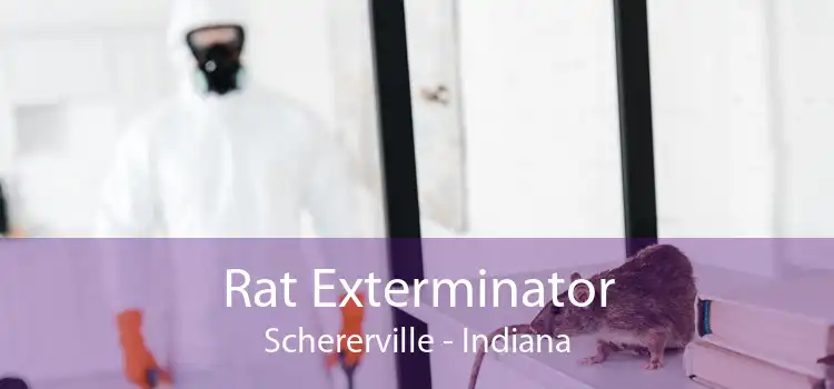 Rat Exterminator Schererville - Indiana