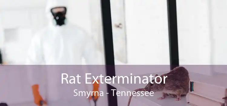 Rat Exterminator Smyrna - Tennessee