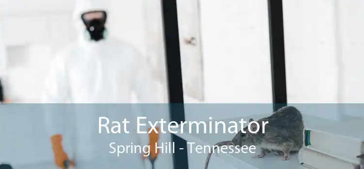 Rat Exterminator Spring Hill - Tennessee