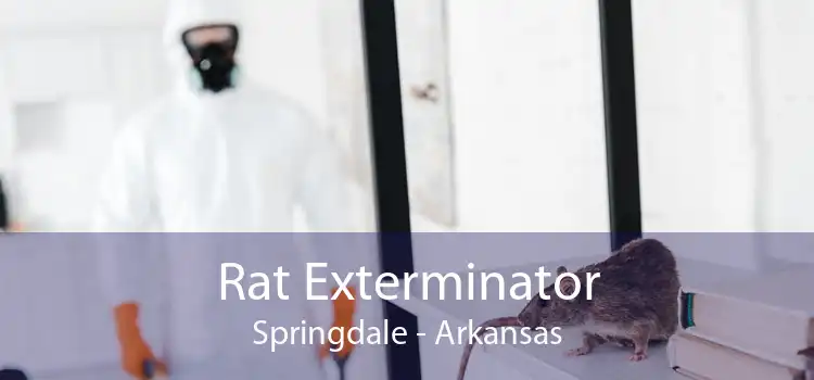 Rat Exterminator Springdale - Arkansas