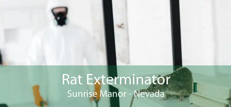 Rat Exterminator Sunrise Manor - Nevada