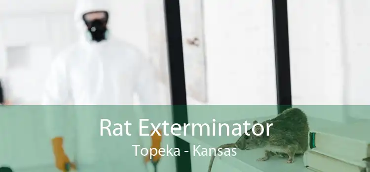 Rat Exterminator Topeka - Kansas