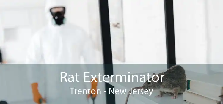 Rat Exterminator Trenton - New Jersey