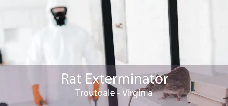 Rat Exterminator Troutdale - Virginia