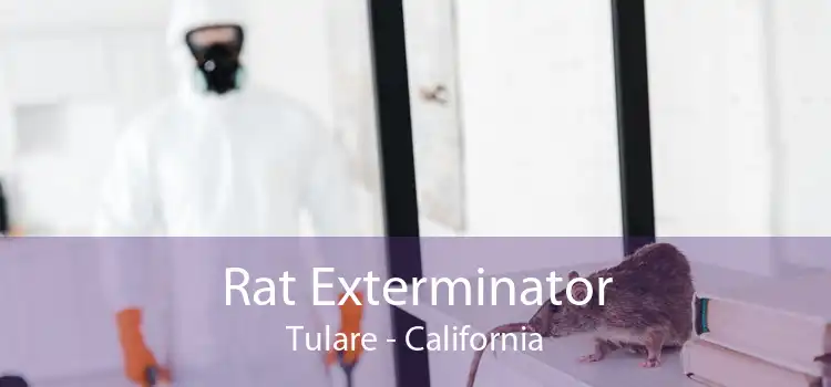 Rat Exterminator Tulare - California
