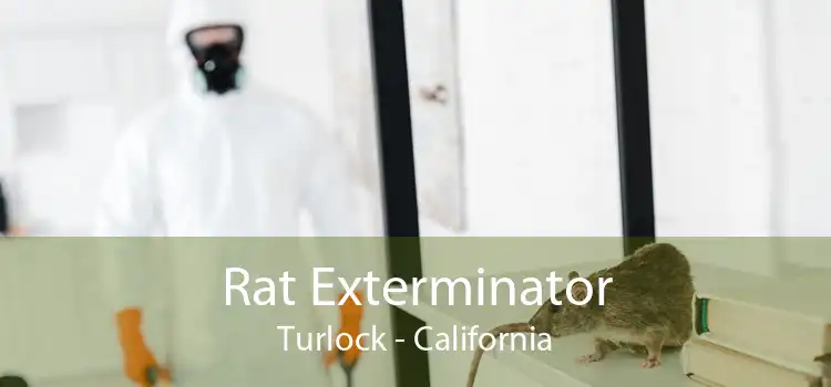 Rat Exterminator Turlock - California