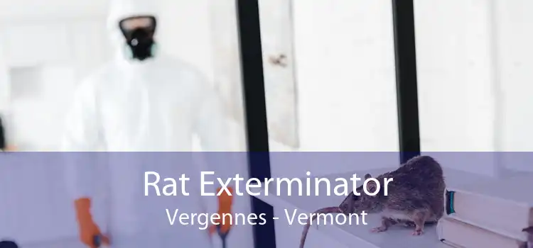Rat Exterminator Vergennes - Vermont