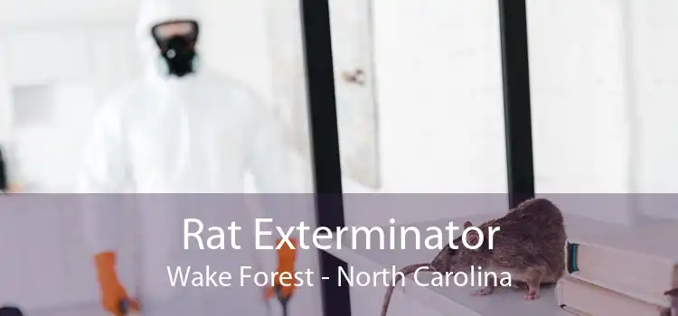 Rat Exterminator Wake Forest - North Carolina