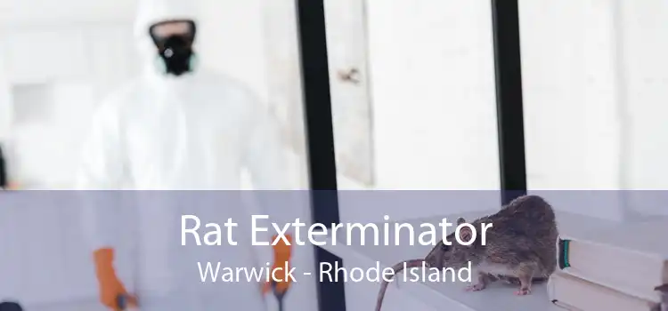 Rat Exterminator Warwick - Rhode Island