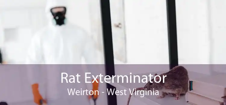 Rat Exterminator Weirton - West Virginia