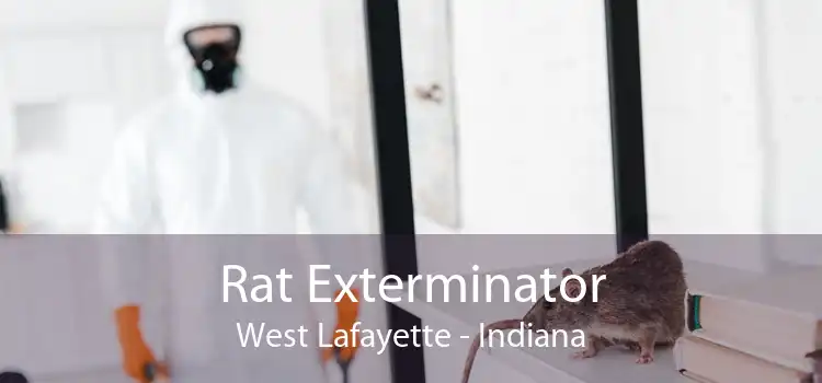 Rat Exterminator West Lafayette - Indiana
