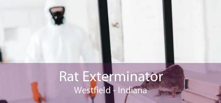 Rat Exterminator Westfield - Indiana