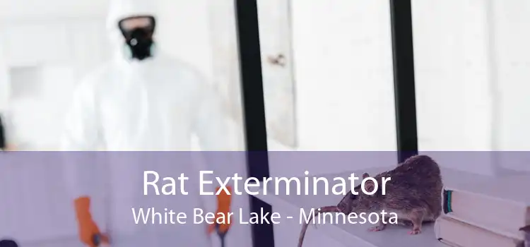 Rat Exterminator White Bear Lake - Minnesota