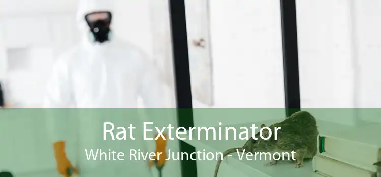 Rat Exterminator White River Junction - Vermont