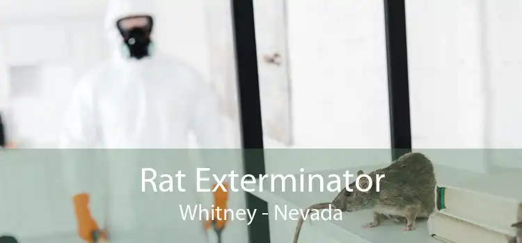 Rat Exterminator Whitney - Nevada