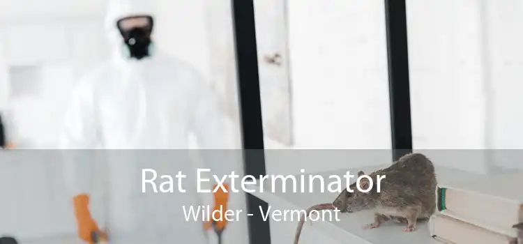 Rat Exterminator Wilder - Vermont