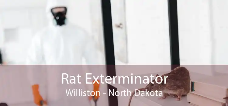 Rat Exterminator Williston - North Dakota