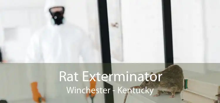 Rat Exterminator Winchester - Kentucky